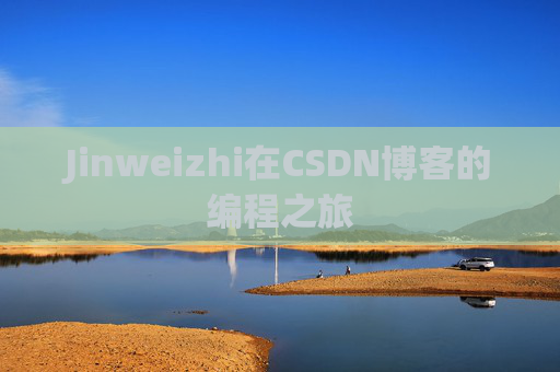 Jinweizhi在CSDN博客的编程之旅
